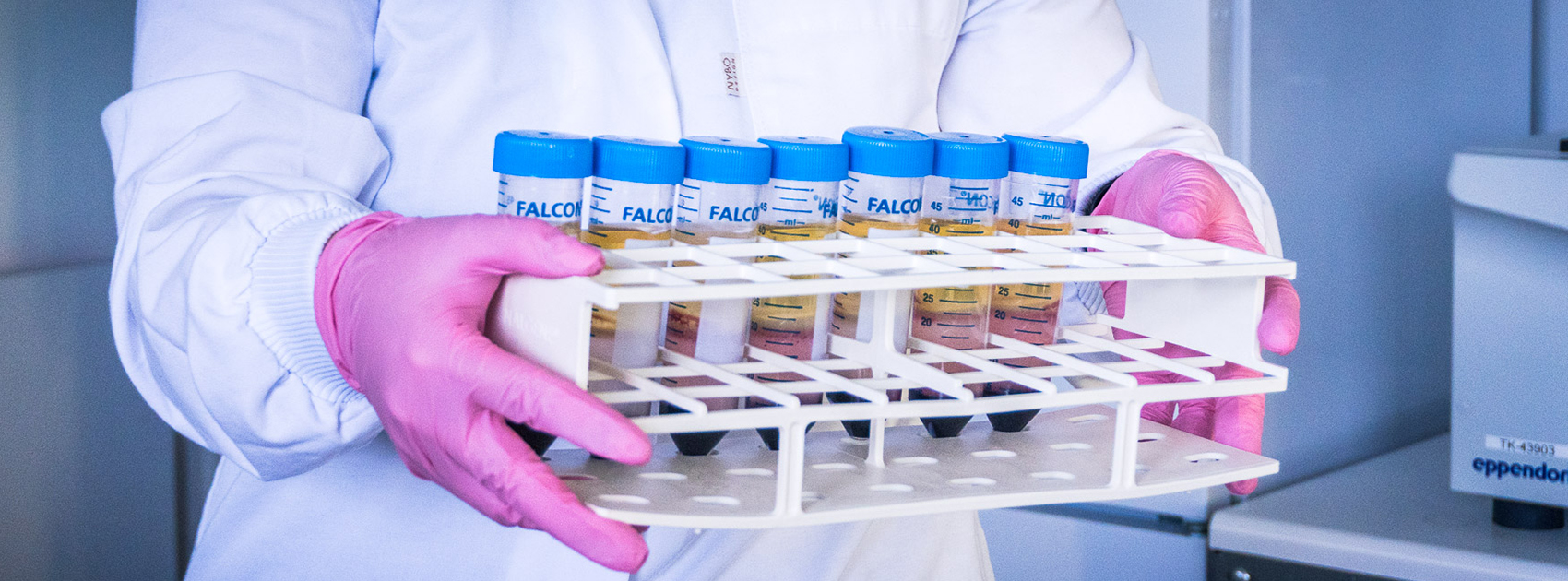 The researcher at the Blood Service Biobank carries a test tube rack.
